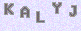 manual verify