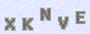 manual verify