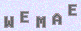 manual verify
