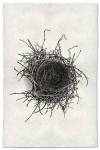 Nest Study 2 by Barloga