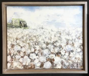 Cotton with tractor